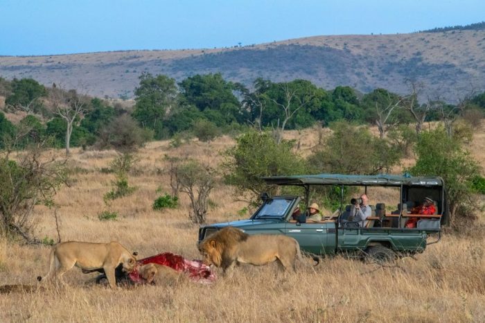3 Days Masai Mara Luxury Safari