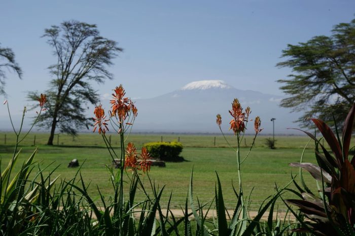 Nairobi national park and Coffee Farm Tour And Tasting Experience